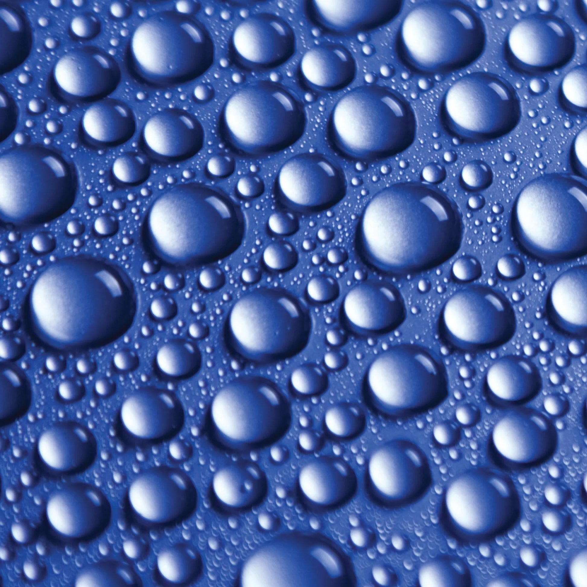 Complete Car Care 4 Piece Kit